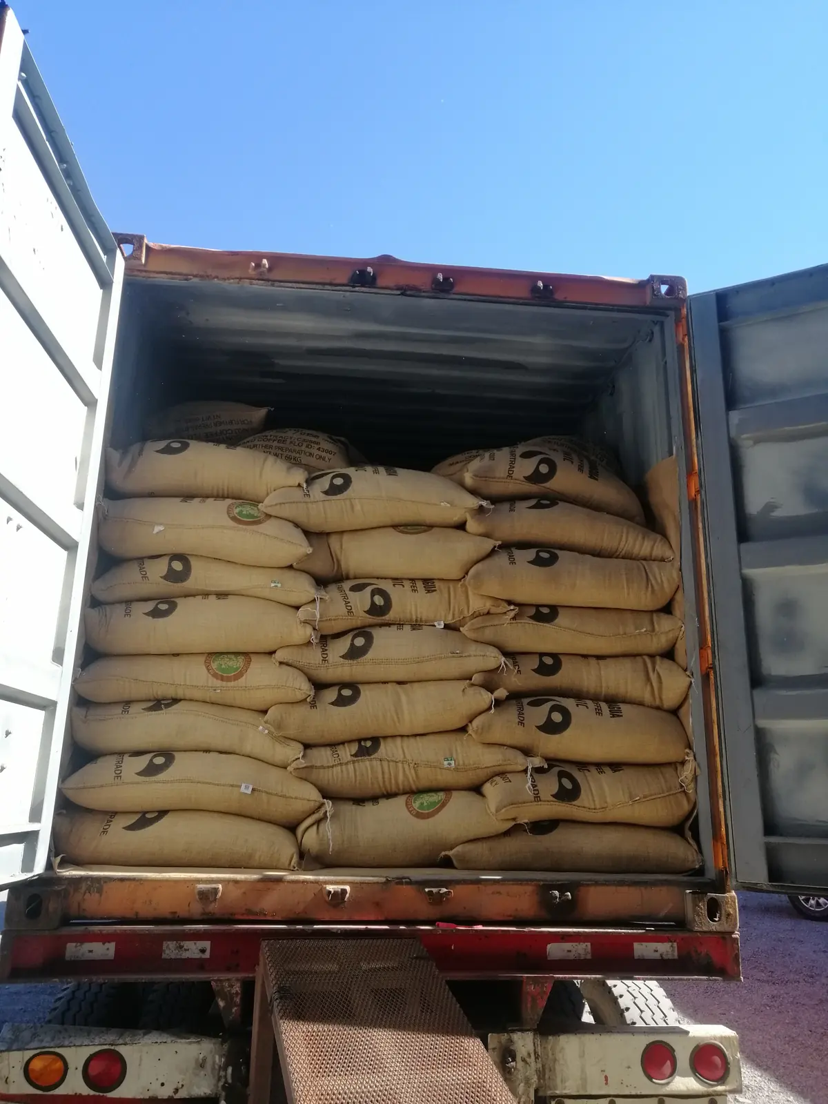 Contenedor cargado con sacos de yute de café verde Fairtrade Orgánico